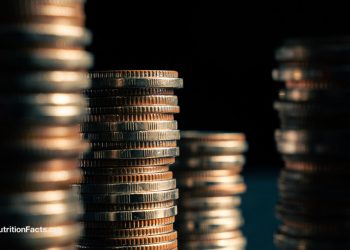 Spielen Steuersubventionen bei der Fettleibigkeitsepidemie eine Rolle?