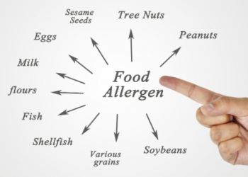 Die perfekte allergikerfreundliche Various