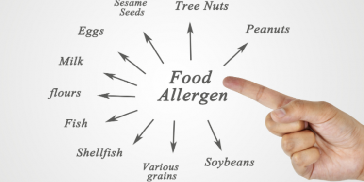 Die perfekte allergikerfreundliche Various