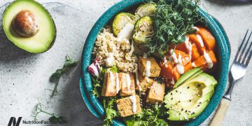 Sollten wir für die Fettleibigkeitsepidemie Verantwortung übernehmen?