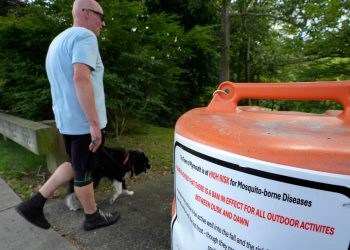 Ein Blick auf durch Mücken übertragene Krankheiten, die immer schneller ansteigen