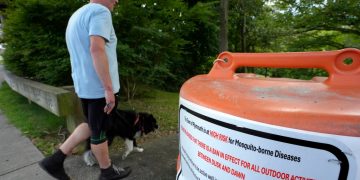 Ein Blick auf durch Mücken übertragene Krankheiten, die immer schneller ansteigen