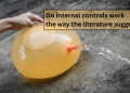 Eine Analyse moderner interner Kontrollstrukturen und ihrer Wirksamkeit