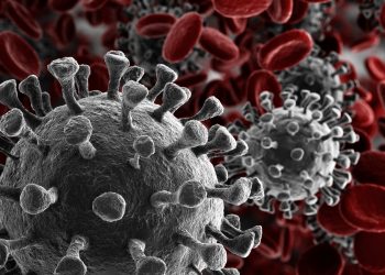 COVID-19: FDA erhält vom Berufungsgericht eine Ohrfeige für Aussagen zu Ivermectin