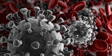 COVID-19: FDA erhält vom Berufungsgericht eine Ohrfeige für Aussagen zu Ivermectin