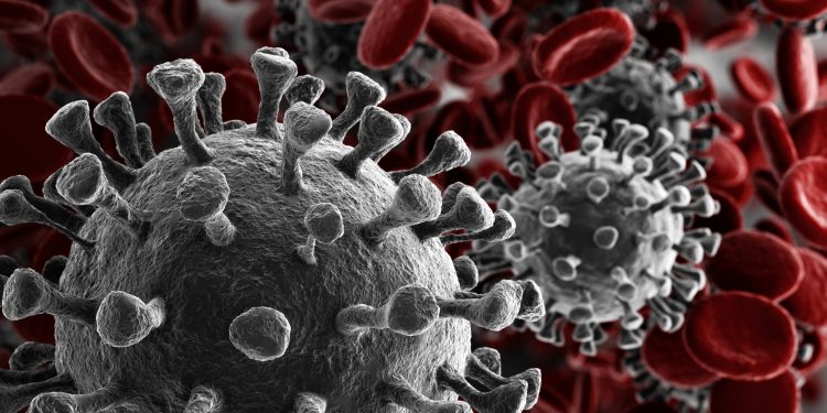 COVID-19: FDA erhält vom Berufungsgericht eine Ohrfeige für Aussagen zu Ivermectin