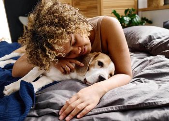 Schlafqualität und Tiertherapie: Der Leitfaden für gemütliche Begleiter – Higher Sleep Council