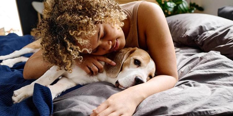 Schlafqualität und Tiertherapie: Der Leitfaden für gemütliche Begleiter – Higher Sleep Council