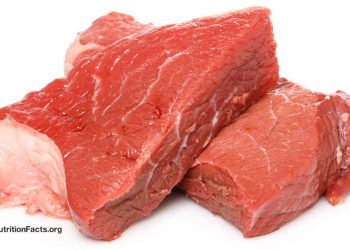 Wie steht es um das Schlaganfallrisiko bei tierischen Proteinen und Vegetariern?