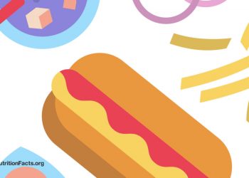 Sind wir Eisbären im Dschungel?