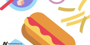 Sind wir Eisbären im Dschungel?