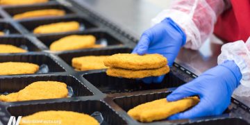 Verarbeitete Lebensmittel und Fettleibigkeit