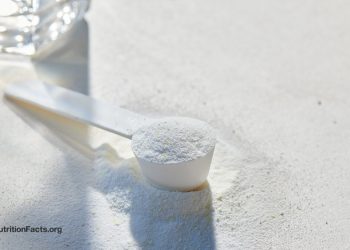 Kreatin zur Normalisierung des Homocysteinspiegels bei Vegetariern?