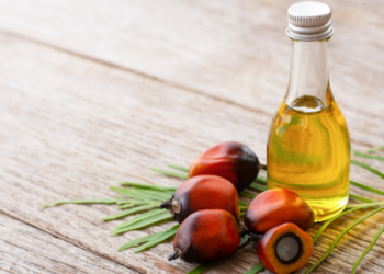 Was ist Palmöl und ist es giftig für uns?