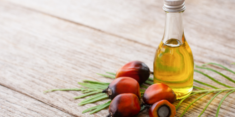 Was ist Palmöl und ist es giftig für uns?