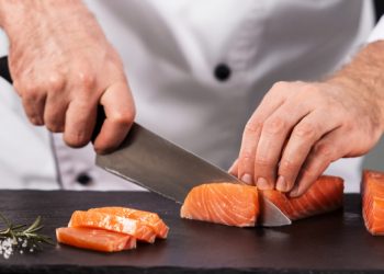 Ein tiefer Tauchgang zu 5 Fischen, die wir lieben