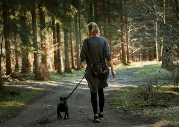 5 Möglichkeiten, mit Ihrem pelzigen Freund zu trainieren