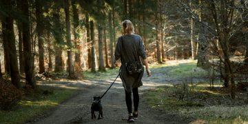 5 Möglichkeiten, mit Ihrem pelzigen Freund zu trainieren