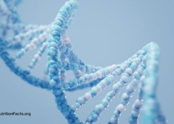 Welche Rolle spielen unsere Gene bei der Fettleibigkeitsepidemie?