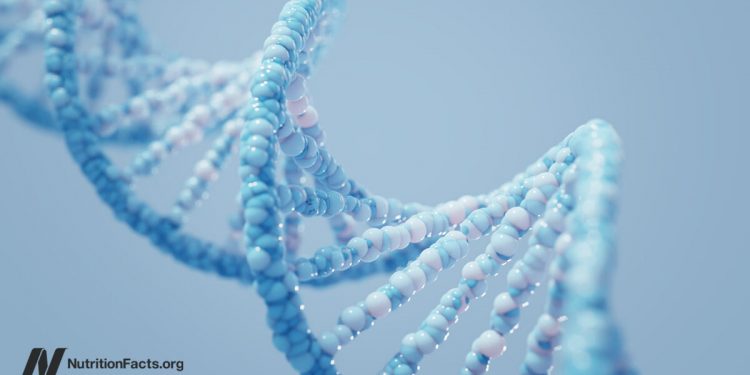 Welche Rolle spielen unsere Gene bei der Fettleibigkeitsepidemie?