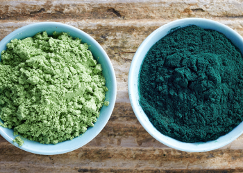 Chlorella vs. Spirulina: Welche Mikroalge ist besser für Sie?