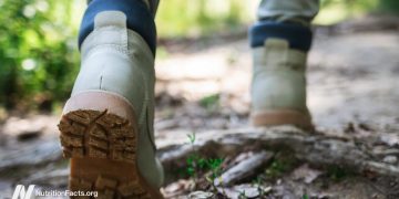 Verbringen Sie Zeit in der Natur für Ihre Gesundheit?