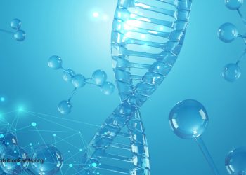 Epigenetik und Fettleibigkeit