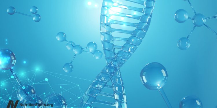 Epigenetik und Fettleibigkeit