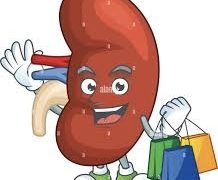 Mein Stoffwechsel hat sich nach Boca Raton zurückgezogen – NormaZager.com