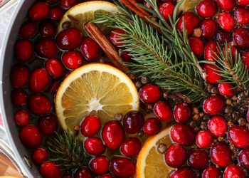 Weihnachts-Kochtopf (einfaches + einfaches Potpourri für den Herd)