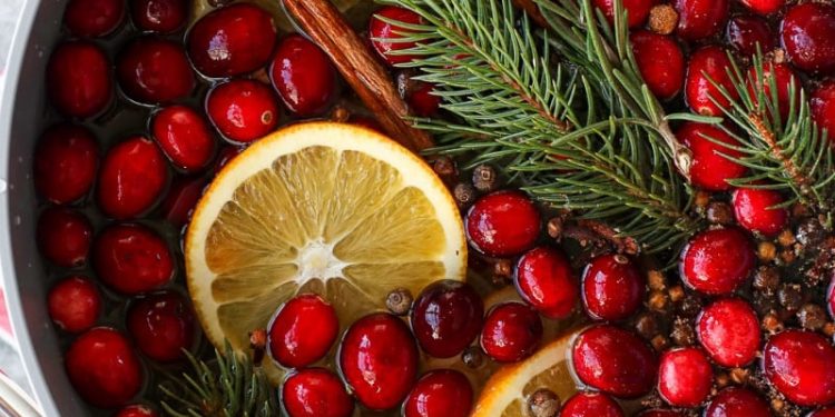 Weihnachts-Kochtopf (einfaches + einfaches Potpourri für den Herd)