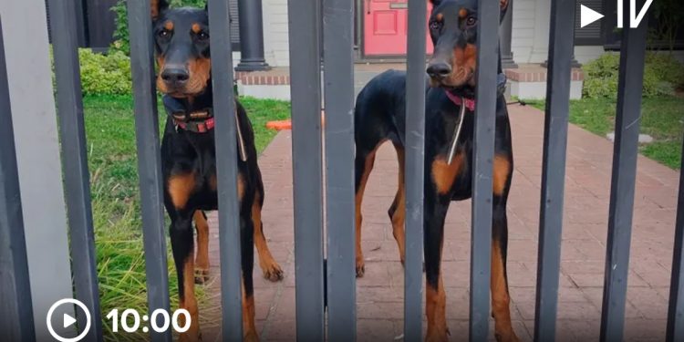 Verhaltensanalysen belegen den ROI bei der Betrugsbekämpfung