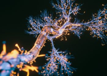 Die Zeitleiste der Alzheimer-Krankheit zeigt, dass neuronale Veränderungen als Rinnsal beginnen und sich zu einem Strom von Schüssen entwickeln