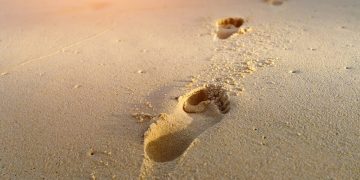 Wie groß ist der CO2-Fußabdruck Ihrer Lebensmittel?