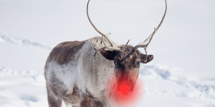 Ein neues Modell zur Bewertung des Betrugsrisikomanagements
