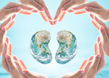 Einem Fremden eine Niere schenken? Die Wissenschaft des „außergewöhnlichen Altruismus“: Schüsse