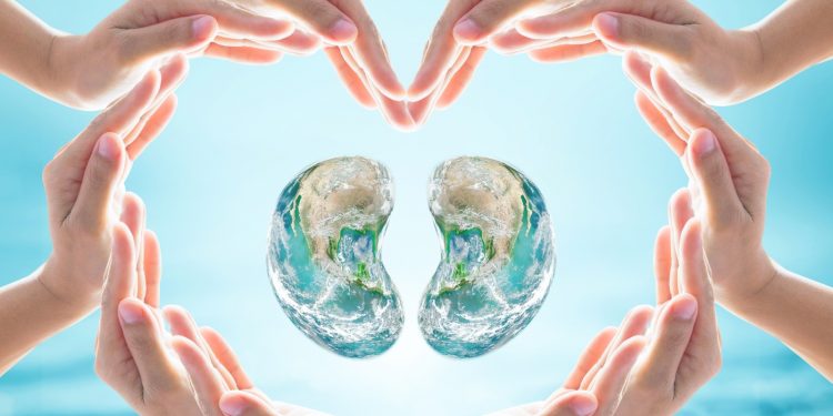 Einem Fremden eine Niere schenken? Die Wissenschaft des „außergewöhnlichen Altruismus“: Schüsse