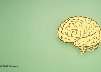 Die Auswirkungen von Fettleibigkeit auf unser Gehirn, Demenz und Fruchtbarkeit