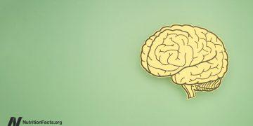 Die Auswirkungen von Fettleibigkeit auf unser Gehirn, Demenz und Fruchtbarkeit