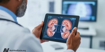 Auswirkungen von Fettleibigkeit auf unser Immunsystem sowie Nieren- und Lebererkrankungen