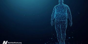 Erforschung des Adipositas -Paradoxons