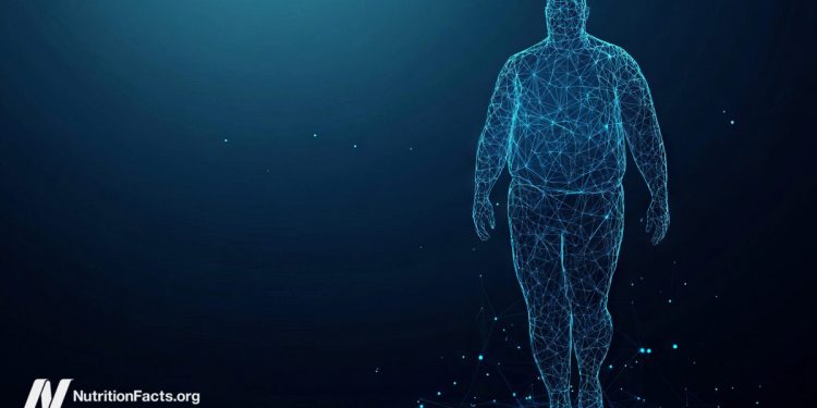 Erforschung des Adipositas -Paradoxons