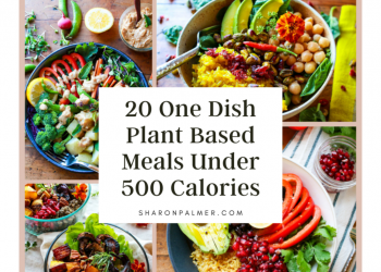 20 pflanzliche Mahlzeiten in einem Gericht mit weniger als 500 Kalorien