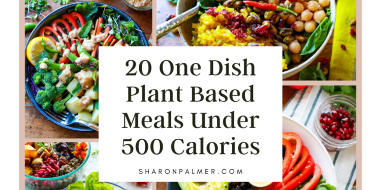 20 pflanzliche Mahlzeiten in einem Gericht mit weniger als 500 Kalorien