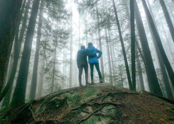 11 Dinge, die Sie am Tag der Amtseinführung tun können und die sich positiv auf Ihre geistige Gesundheit auswirken