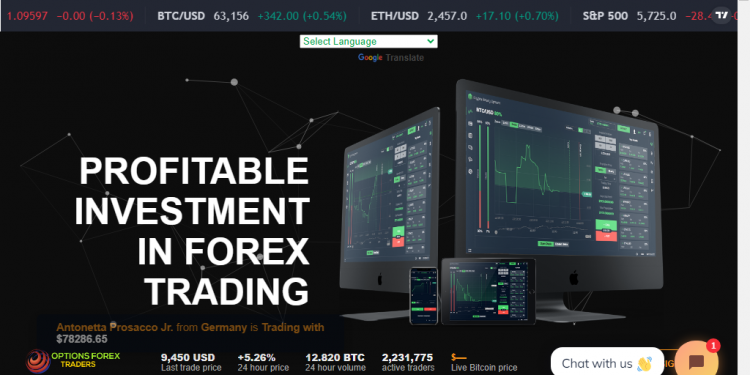 OPTIONS FOREX TRADERS Assessment 2024