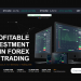 OPTIONS FOREX TRADERS Assessment 2024