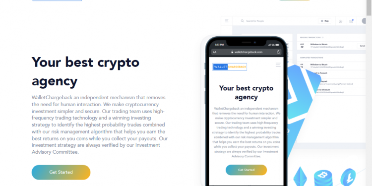 Walletchargeback Overview 2024 – Betrugshelfer