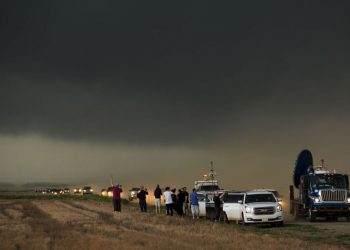 Die Nationwide Science Basis friert Grant Assessment als Reaktion auf Trump Government Orders: Photographs