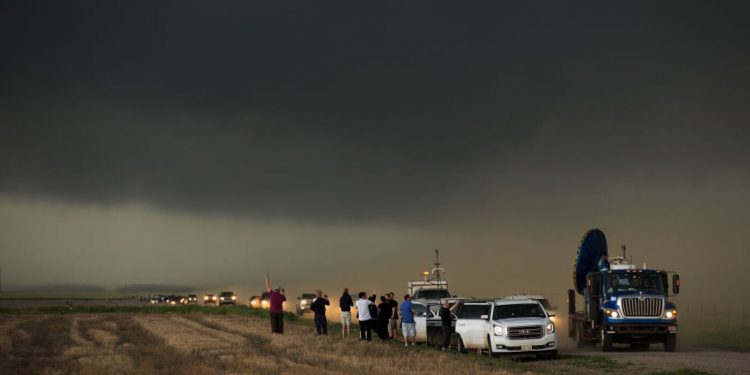 Die Nationwide Science Basis friert Grant Assessment als Reaktion auf Trump Government Orders: Photographs